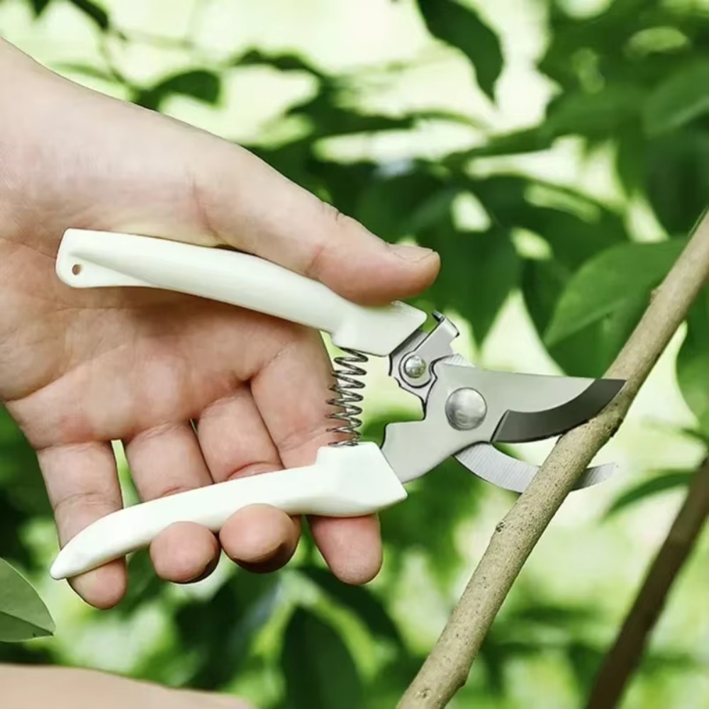 Professioneel snoeimessen, han - Gardening Tools Essential recensie en prijs