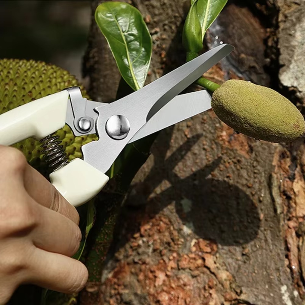 Professioneel snoeimessen, han - Gardening Tools Essential recensie en prijs