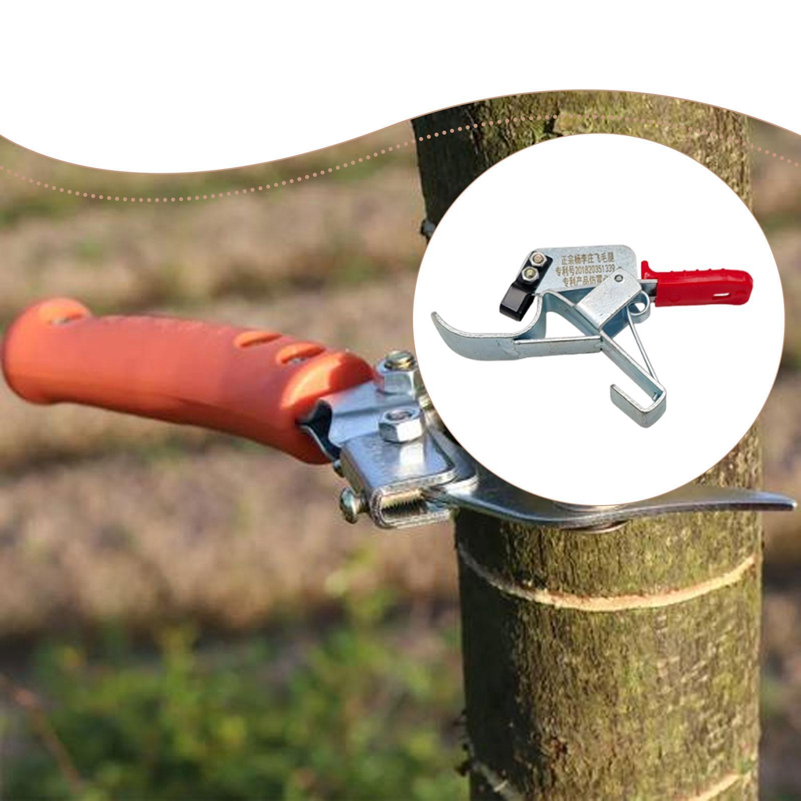 1 stuk fruitboom-omringingsger - Gardening Tools Essential recensie en prijs