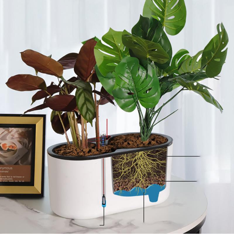 Indoor Plant Met Indicator Hou - Automatic Plant Waterer recensie en prijs