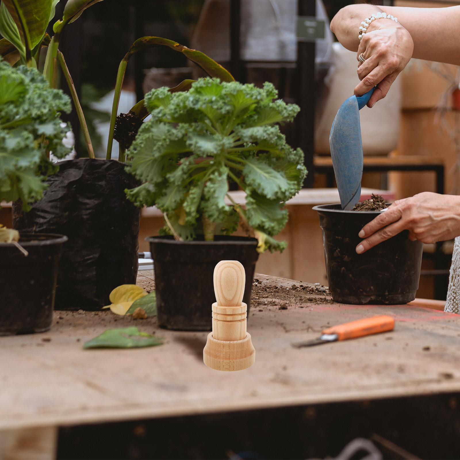 1 set houten gereedschap voor  - Gardening Tools Essential recensie en prijs